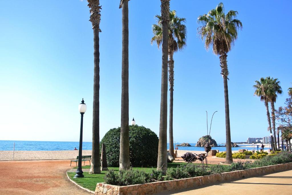 Aiguaneu Apartaments Center Blanes Eksteriør billede